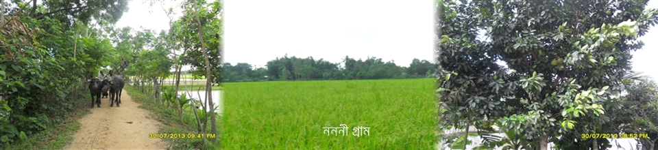 Slider Image 1